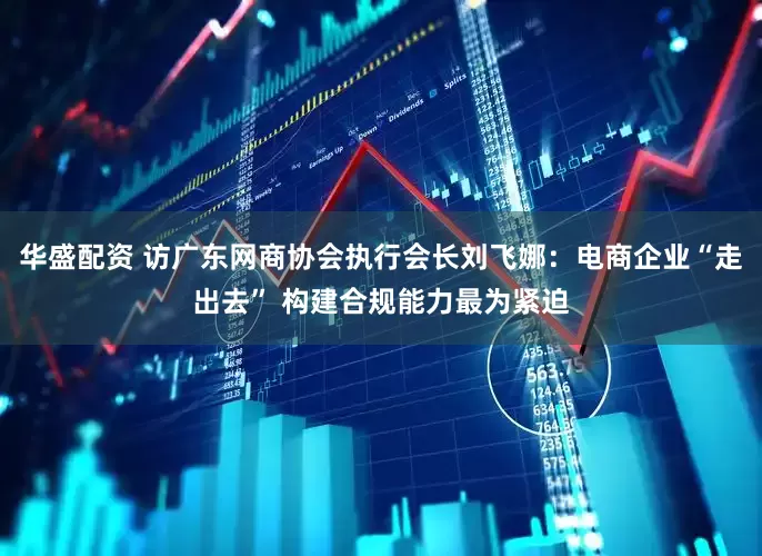 华盛配资 访广东网商协会执行会长刘飞娜：电商企业“走出去” 构建合规能力最为紧迫