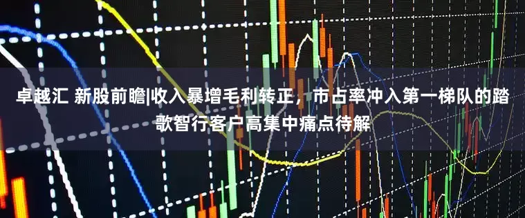 卓越汇 新股前瞻|收入暴增毛利转正，市占率冲入第一梯队的踏歌智行客户高集中痛点待解